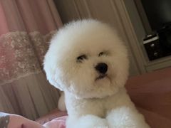 -乐琪宠物(青塔西路店)