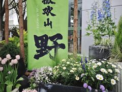 -上海鲜花港