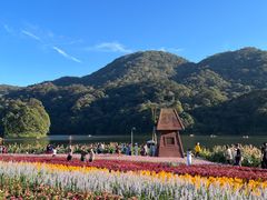 -广州市石门国家森林公园