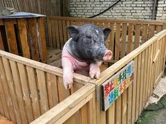 -HERRE·FARM 赫尔露营农场·团建聚会包场