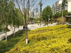 -雁滩公园