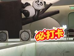 -眉州东坡·熊猫主题餐厅(枫蓝店)