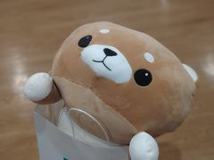 -NITORI 宜得利家居(上海金桥啦啦宝都店)