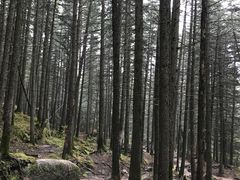 -芦芽山旅游度假区