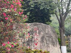 -狐尾山公园