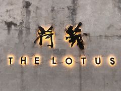 -几荷·恰似故人来(秀水广场店)