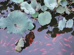 -西海子公园