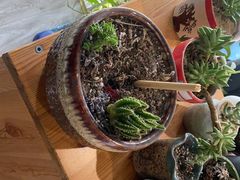 -SAH健身私教工作室(紫东店)