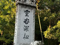 -灵谷景区