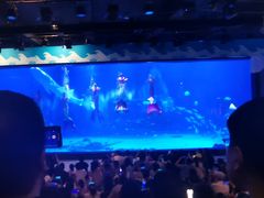 -烟台海昌鲸鲨海洋公园