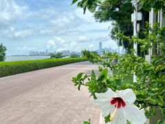 -深圳湾公园(南山区)