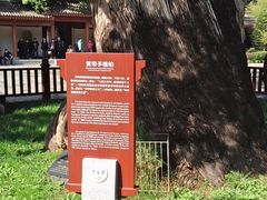 -黄帝陵