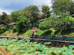 -红山村