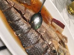 -蝶园·装修中(BFC外滩金融中心店)