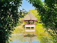-上海醉白池公园