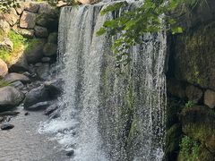 -汤旺河林海奇石景区