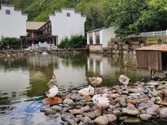 -荷塘味道(水长城店)