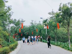 -广州市帽峰山景区