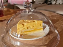 -猫腻·猫咖·撸猫馆(星光大道店)