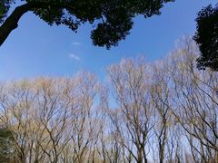 -昆山城市生态森林公园