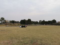 -滆湖低碳生态公园