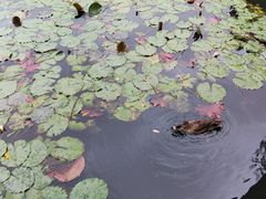 -杭州植物园