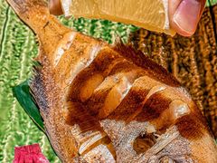 -镹·鱼料理  国产鱼使用店