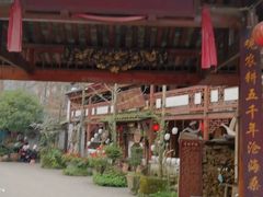 -青城甲(青城山店)