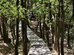 -火炉山森林公园