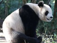 -海南热带野生动植物园