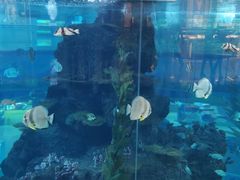 -鸿通城购物中心