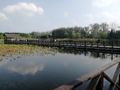 -溱湖国家湿地公园