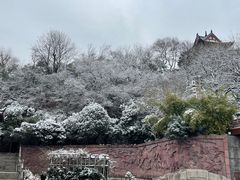 -黄鹤楼