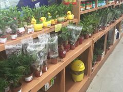-卜蜂莲花(浦江城市生活广场店)
