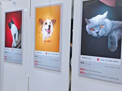 -小米之家(世博源店)