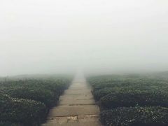 -东白山