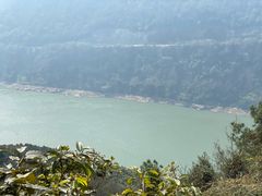 -铁山坪森林公园