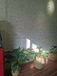 -極致刺青TATTOO STUDIO 私人订制
