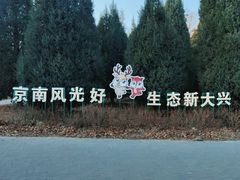 -大兴滨河森林公园