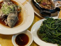 -鸿达渔港