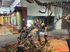 -自贡恐龙博物馆