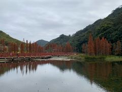 -广州市石门国家森林公园