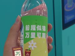 -潘家园(地铁站)
