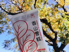 -香山公园