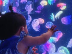 -海合安成都极地海洋公园