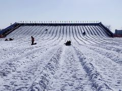 -绿野森林乐园冰雪季