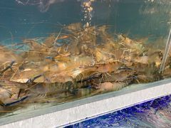 -盒马鲜生(红莲店)