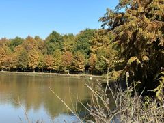 -上海海湾国家森林公园