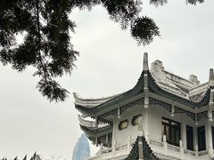 -县前头汤圆店