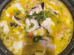 肥肠鱼-赵小姐丨新中餐(曲江店)